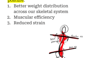 chiropractor posture